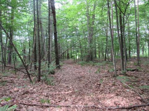 9101 Johnson Rd, Kaleva, MI 49645 photo 15