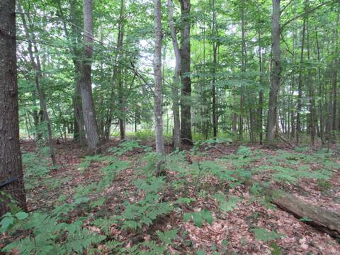 9101 Johnson Rd, Kaleva, MI 49645 photo 10
