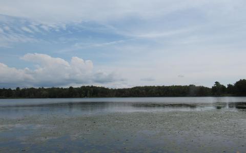9101 Johnson Rd, Kaleva, MI 49645 photo 2