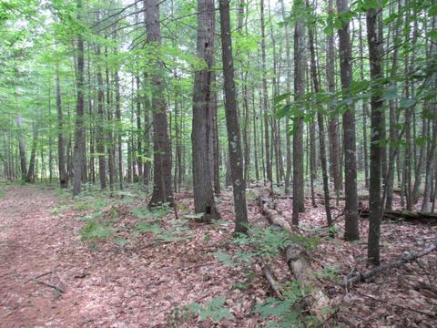 9101 Johnson Rd, Kaleva, MI 49645 photo 11