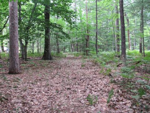 9101 Johnson Rd, Kaleva, MI 49645 photo 8