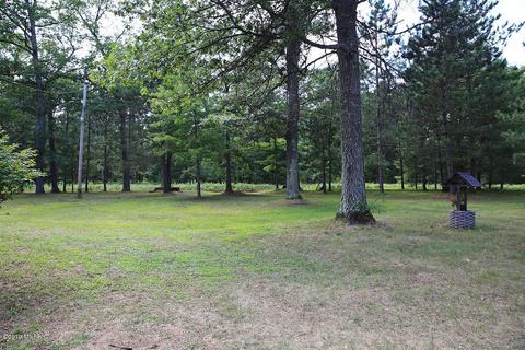 7180 N Walnut Ave, White Cloud, MI 49349 photo 43