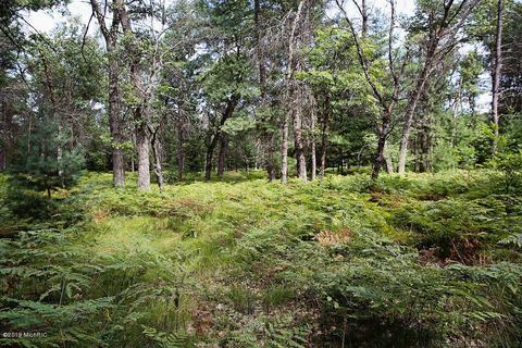 7180 N Walnut Ave, White Cloud, MI 49349 photo 41