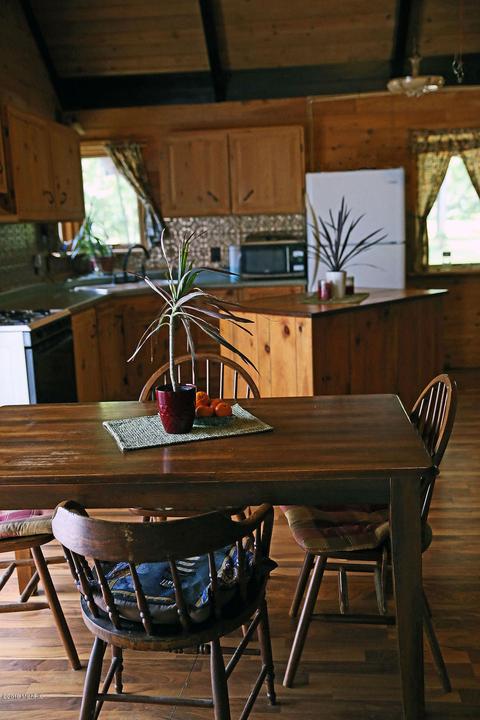 7180 N Walnut Ave, White Cloud, MI 49349 photo 18