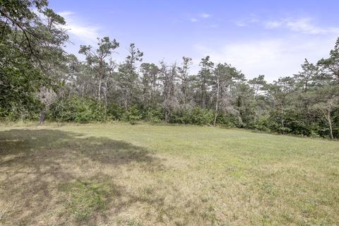 5035 E 48th St, Newaygo, MI 49337 photo 5