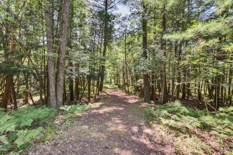 5305 E Marquette Trl, Chase, MI 49623 photo 15