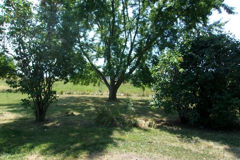 15 W Sisson Rd, Freeport, MI 49325 photo 11