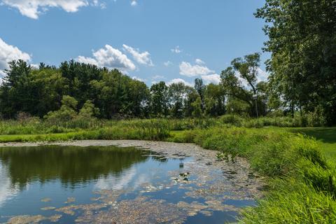 13520 E O Ave, Climax, MI 49034 photo 19