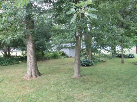 516 Eisenhower St, Sheridan, MI 48884 photo 4