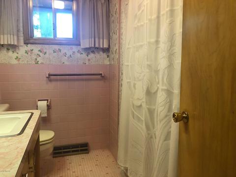 704 E Spring St, Whitehall, MI 49461 photo 13