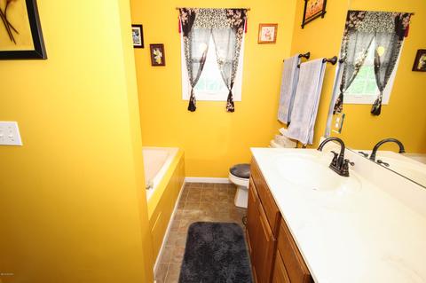 17321 Birchleaf Ct, Three Rivers, MI 49093 photo 39