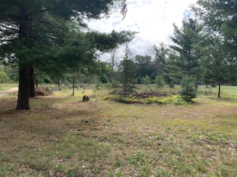 535 Weldon Dr, Marion, MI 49665 photo 20