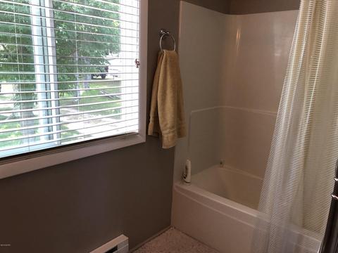 9758 W Harper Dr, Irons, MI 49644 photo 13