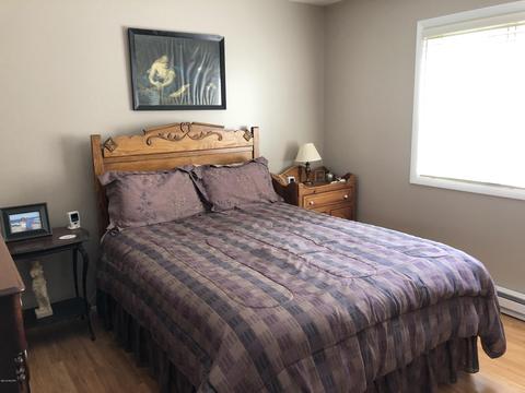 9758 W Harper Dr, Irons, MI 49644 photo 10