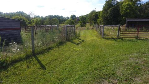 9655 2 Mile Rd NE, Lowell, MI 49331 photo 37