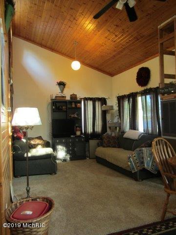 3984 Sunny Dr, Sears, MI 49679 photo 7