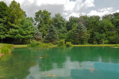 12287 E G Ave, Augusta, MI 49012 photo 30