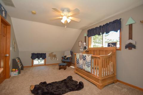 233 Lyon Lake Rd, Marshall, MI 49068 photo 19