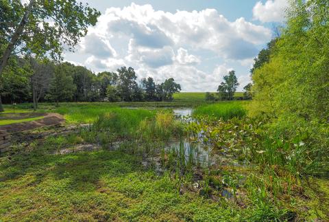 10046 E C Ave, Richland, MI 49083 photo 38