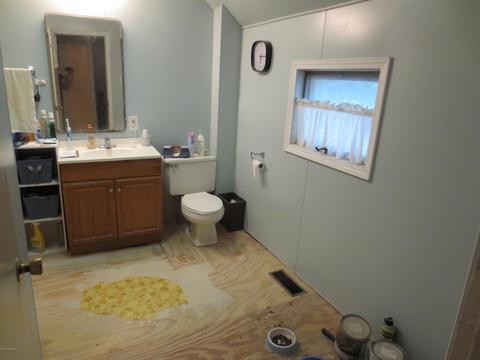 930 Kenwood Ave, Belding, MI 48809 photo 18
