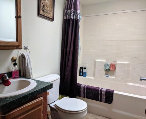 14782 E Moore Rd, Bailey, MI 49303 photo 8