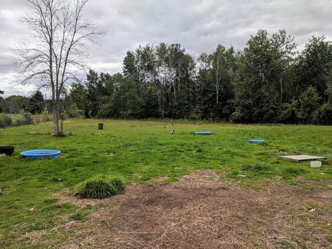14782 E Moore Rd, Bailey, MI 49303 photo 11