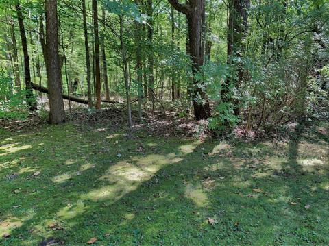 7284 Spring Bend Ln, Harbert, MI 49115 photo 16