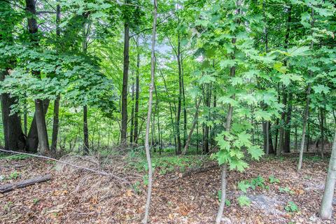 1396 Carleton St, Whitehall, MI 49461 photo 14