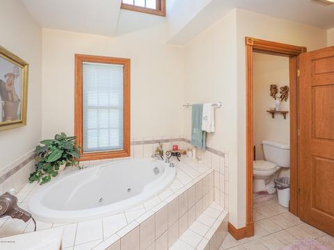 67201 Blue School Rd, Constantine, MI 49042 photo 27