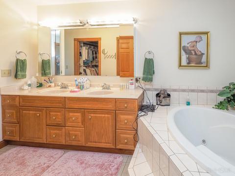 67201 Blue School Rd, Constantine, MI 49042 photo 28