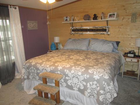 5891 E Pakes Rd, Crystal, MI 48818 photo 12