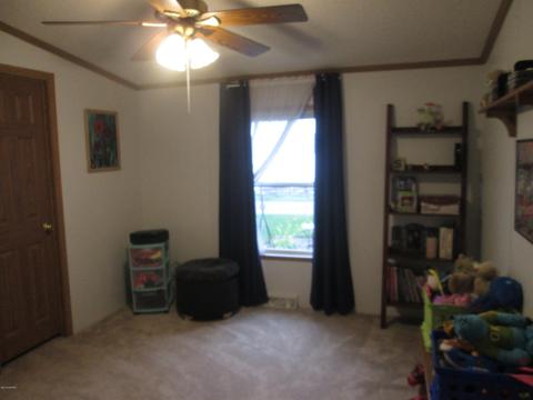 5891 E Pakes Rd, Crystal, MI 48818 photo 16