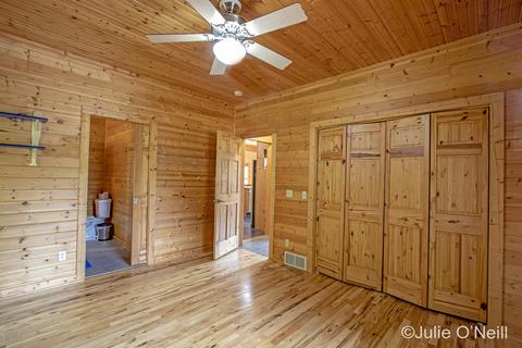4232 Olmstead Rd, Ionia, MI 48846 photo 20