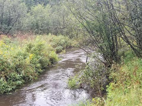 5565 E Marquette Trl, Chase, MI 49623 photo 10