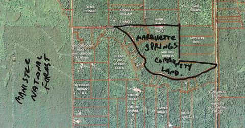 5565 E Marquette Trl, Chase, MI 49623 photo 24