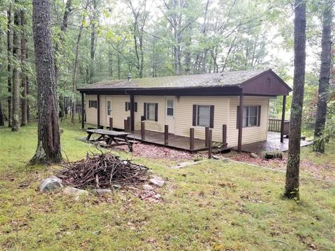 5565 E Marquette Trl, Chase, MI 49623 photo 1