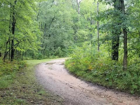 5565 E Marquette Trl, Chase, MI 49623 photo 13