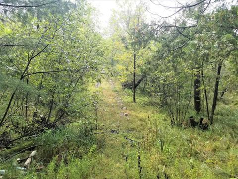 5565 E Marquette Trl, Chase, MI 49623 photo 6