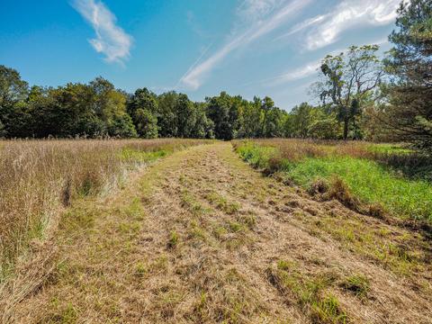 1534 E B Ave, Plainwell, MI 49080 photo 32