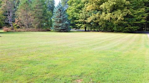 10100 E S Ave, Scotts, MI 49088 photo 4