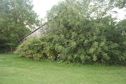 5511 M 89, Plainwell, MI 49080 photo 31