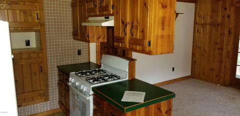 4448 E Tamarack Rd, Edmore, MI 48829 photo 8