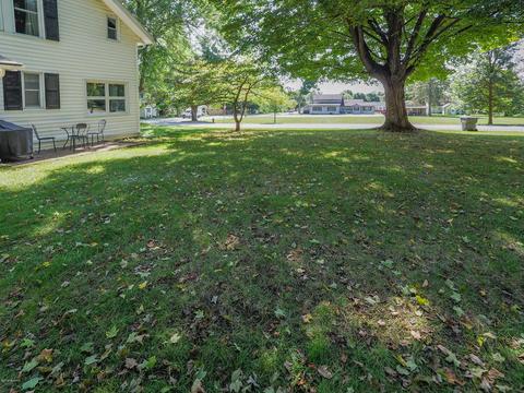 403 N Webster St, Augusta, MI 49012 photo 29
