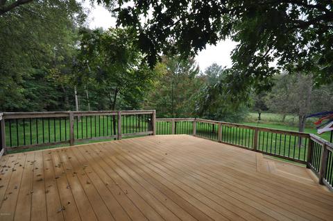 105 N Whites Bridge Rd, Belding, MI 48809 photo 18