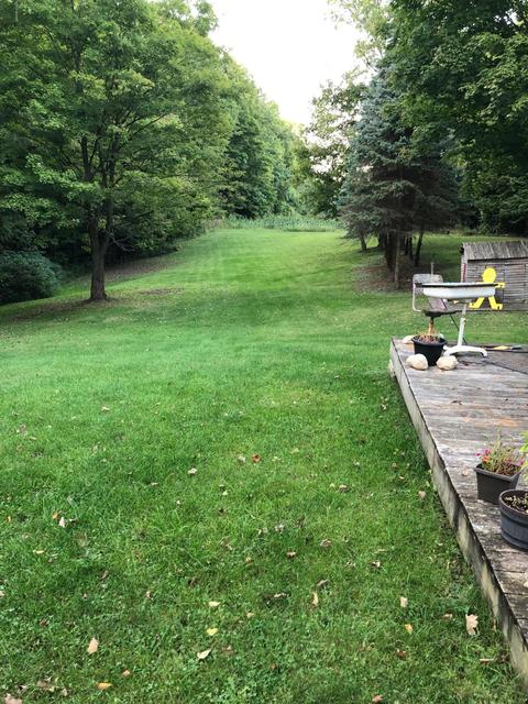 481 W Buffalo Rd, Galien, MI 49113 photo 11