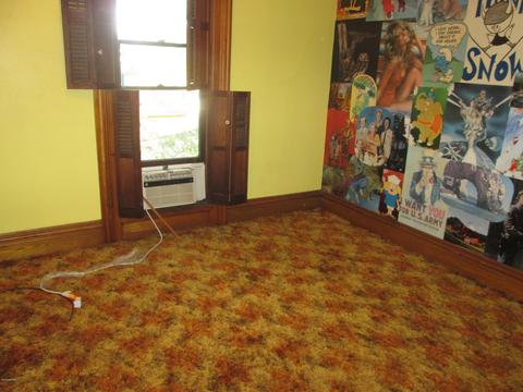 106 W Pine St, Stanton, MI 48888 photo 27