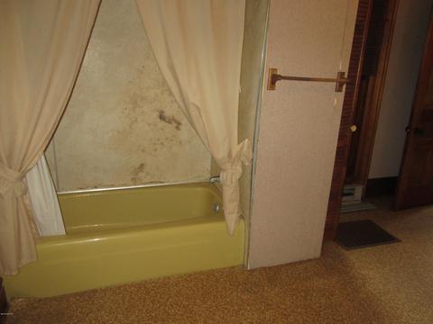 106 W Pine St, Stanton, MI 48888 photo 26