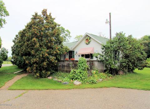 17925 Bailey Rd, Bailey, MI 49303 photo 1