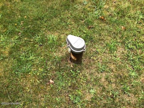 879 Carlson Dr, Stanton, MI 48888 photo 7
