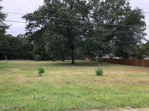 879 Carlson Dr, Stanton, MI 48888 photo 8